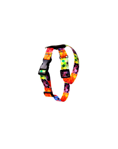 Octagon Szelki ze skórą dla psa 20 mm (36-60cm)