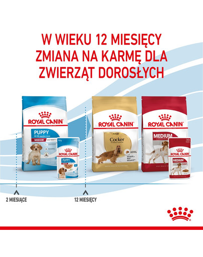 ROYAL CANIN Medium puppy 10x140 g