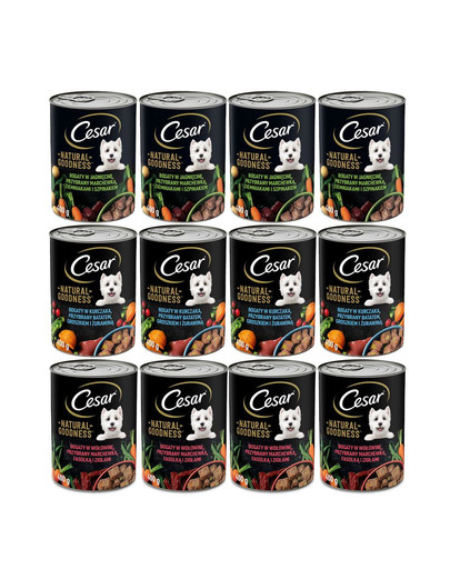 CESAR Mix smaków 400 g