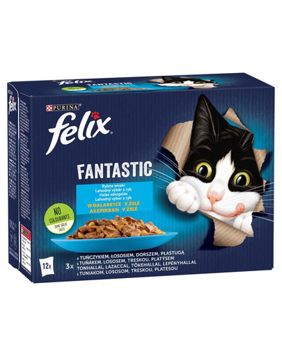 FELIX FANTASTIC Mix w galaretce dla kota 12x85g