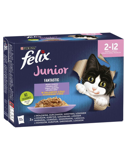 FELIX FANTASTIC Junior Mix smaków w galaretce dla kociąt 85g