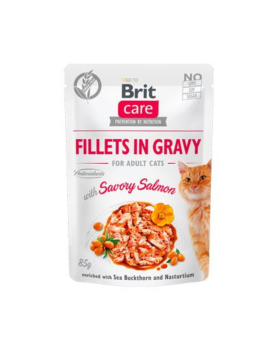 Care Cat Fillets in gravy savory salmon 85 g filety łososia w sosie