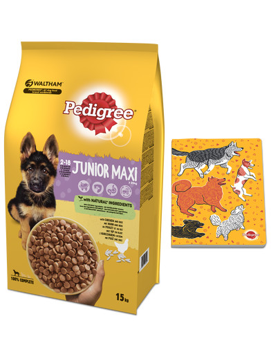PEDIGREE Junior 15kg (duże rasy) - sucha karma dla psów z kurczakiem i ryżem + Zeszyt z pieskami GRATIS