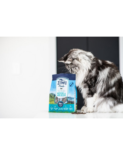 ZIWIPEAK Cat Karma suszona powietrzem Mackerel&Lamb Makrela i jagnięcina 1 kg