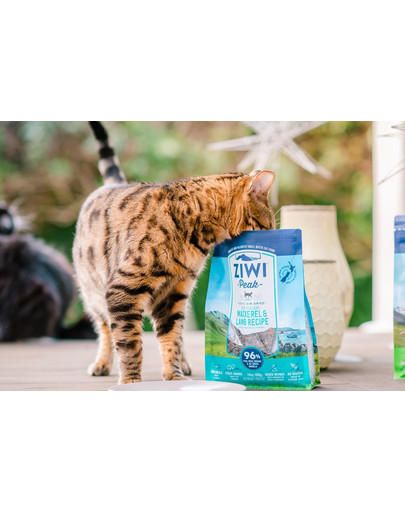 ZIWIPEAK Cat Karma suszona powietrzem Mackerel&Lamb Makrela i jagnięcina 1 kg