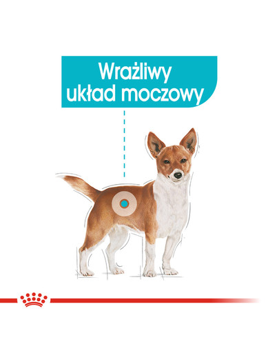 ROYAL CANIN Urinary Care karma mokra dla psów dorosłych, ochrona dolnych dróg moczowych