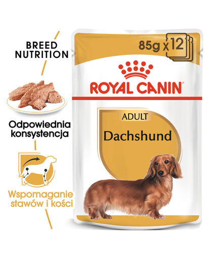 ROYAL CANIN Jamnik Adult 24 x 85 g karma mokra specjalnie dla dorosłych psów rasy jamnik