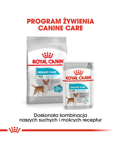 ROYAL CANIN Urinary Care karma mokra dla psów dorosłych, ochrona dolnych dróg moczowych