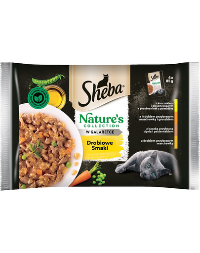 Nature’s Collection Drobiowe Smaki mokra karma pełnoporcjowa dla dorosłych kotów w galaretce saszetka 13x(4x85g)