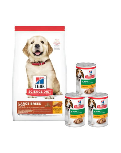 HILL'S Puppy Large Breed Chicken 14,5 kg dla szczeniąt dużych ras + 3 puszki GRATIS