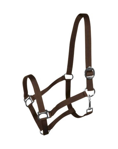 Kantar Harmony brąz PONY