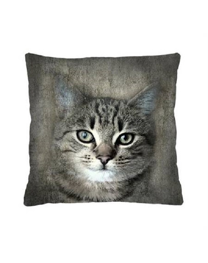 Poduszka kwadratowa Moggy