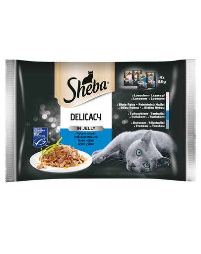 SHEBA Delicacy in Jelly saszetki w galaretce 52 x 85g mokra karma dla kota