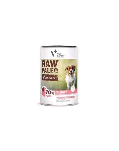 Raw Paleo Wieprzowina/Pork Puppy Can 400g