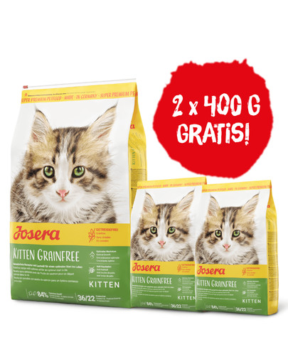 Kitten GrainFree Sucha karma dla kociąt 10 kg + 2x400g karmy GRATIS!
