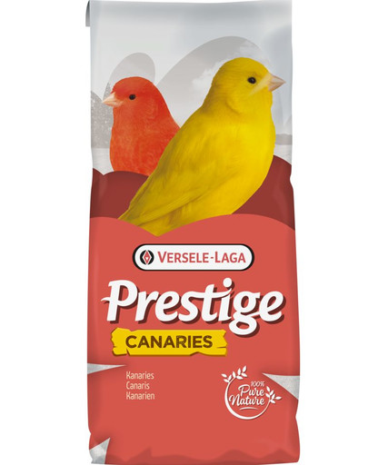 Canaries 1 kg + 200 g GRATIS karma dla kanarków