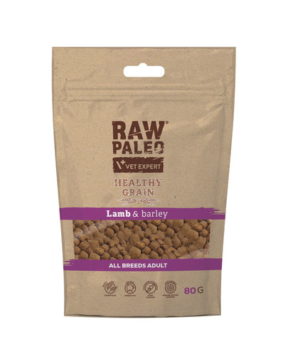 RAW PALEO Healthy Grain Adult Lamb 80g dla doroslych psów z jagnięciną