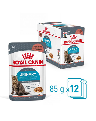 ROYAL CANIN Urinary Care karma mokra plasterki w sosie dla kotów dorosłych, wspierająca zdrowie dróg moczowych