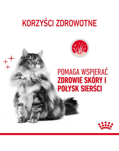 ROYAL CANIN Hair&Skin w galaretce karma mokra dla kotów dorosłych, zdrowa skóra, piękna sierść 85 g