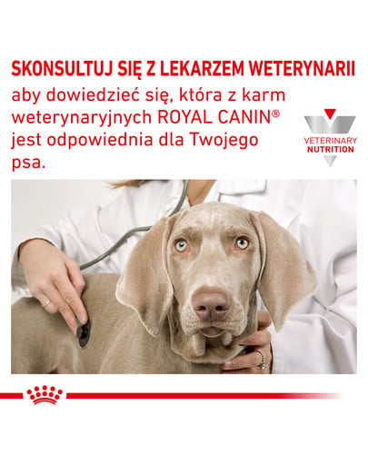 ROYAL CANIN Dog anallergenic 8 kg sucha karma dla dorosłych psów z alergią pokarmową z objawami dermatologicznymi i/lub żołądkowo-jelitowymi