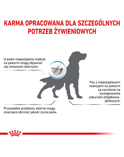 ROYAL CANIN Veterinary Dog Hypoallergenic 14 kg sucha karma dla dorosłych psów z niepożądanymi reakcjami na pokarm