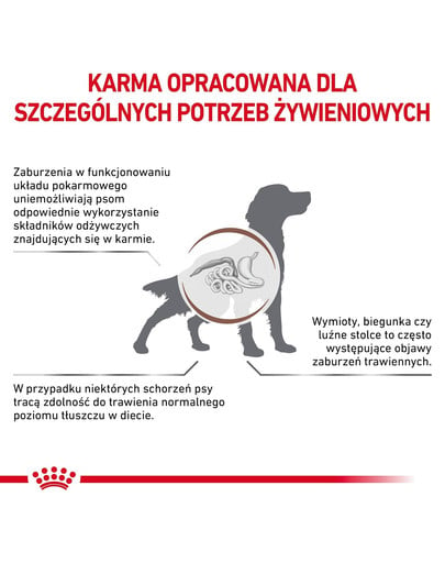 ROYAL CANIN Dog gastro intestinal low fat 6 kg sucha karma o obniżonej zawartości tłuszczu dla psów z zaburzeniami żołądkowo-jelitowymi