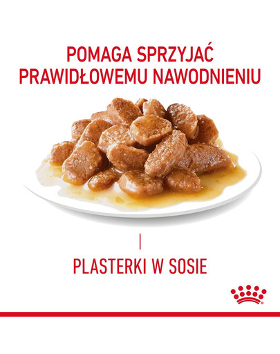 Appetite Control Gravy 12x85 g mokra karma dla dorosłych kotów z nadmiernym apetytem