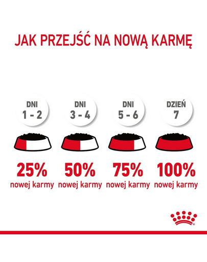 ROYAL CANIN Appetite Control Jelly 85 g mokra karma dla dorosłych kotów z nadmiernym apetytem