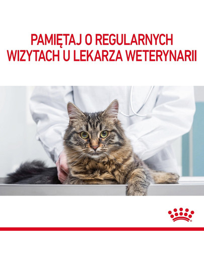 ROYAL CANIN Appetite Control Jelly 85 g mokra karma dla dorosłych kotów z nadmiernym apetytem