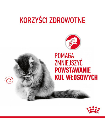 ROYAL CANIN Hairbal Care w sosie karma mokra w sosie dla kotów dorosłych, eliminacja kul włosowych 85 g