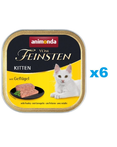 ANIMONDA Vom Feinsten Kitten zestaw z drobiem 6 x 100 g