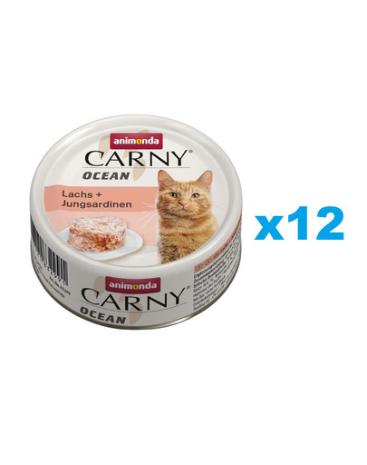 ANIMONDA Carny ocean łosoś sardynki 12x800g