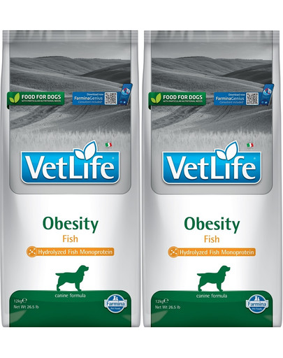 FARMINA Vet Life Obesity Fish karma dietetyczna dla dorosłych psów 2 x 12 kg