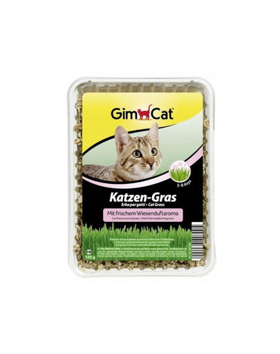GIMCAT Grass 150 g trawa dla kota o świeżym zapachu łąki