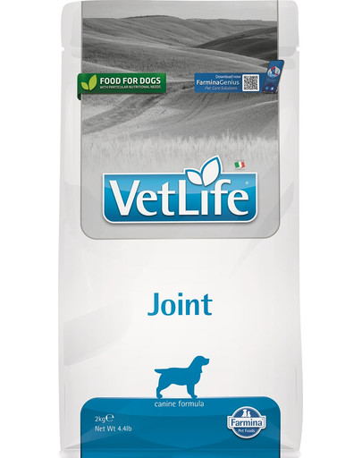 Vet Life Joint Dog 2 kg