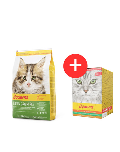 JOSERA Kitten GrainFree Sucha karma dla kociąt 10 kg + Multipack Pate 6x85 g mix smaków pasztetu dla kotów GRATIS