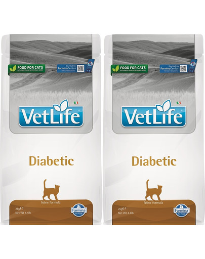 FARMINA Vet Llife Diabetic Cat sucha karma dla kotów z cukrzycą 2 x 2 kg