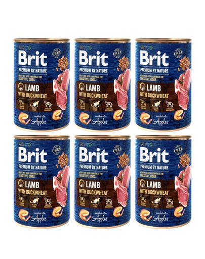 BRIT Premium by Nature Lamb and buckwheatn 6x400 g jagnięcina i gryka naturalna karma dla psa