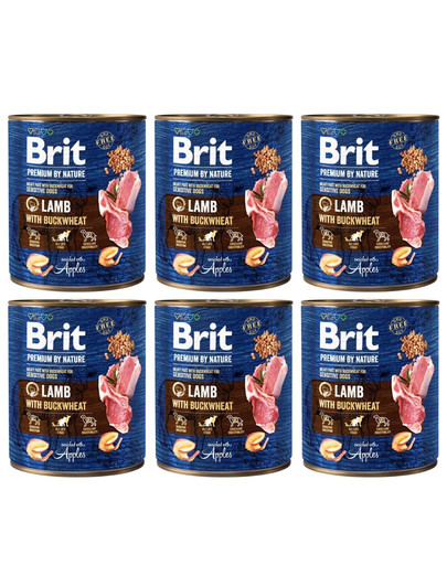 BRIT Premium by Nature 6x800 g jagnięcina i gryka naturalna karma dla psa