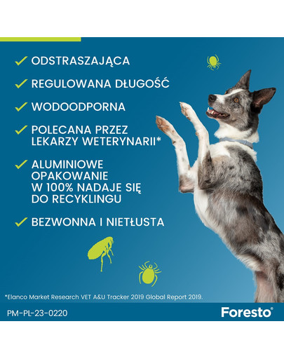 BAYER FORESTO Obroża foresto dla psa przeciw kleszczom i pchłom powyżej 8 kg