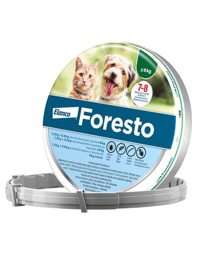 BAYER FORESTO Obroża dla kota i psa przeciw kleszczom i pchłom poniżej 8 kg