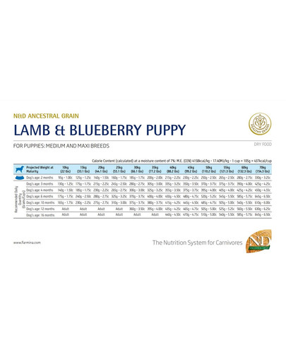 FARMINA N&D Ancestral Grain Dog Lamb & Blueberry Puppy Medium & Maxi 12 kg dla szczeniąt średnich i dużych ras