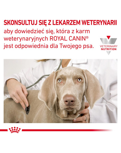 ROYAL CANIN Vet Diet Gastro Intestinal Junior 1 kg karma dla szczeniąt z zaburzeniami trawienia