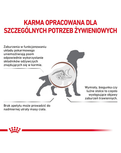ROYAL CANIN VET Dog Gastro Intestinal sucha karma dla psów na zaburzenia żołądkowo-jelitowe 15 kg