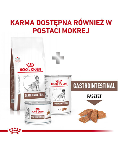 ROYAL CANIN VET Dog Gastro Intestinal sucha karma dla psów na zaburzenia żołądkowo-jelitowe 15 kg