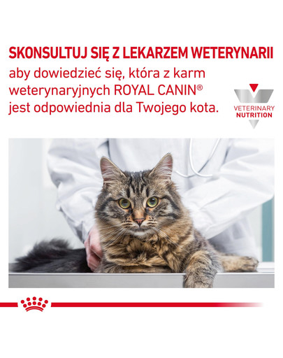 ROYAL CANIN Cat gastro intestinal 2 kg sucha karma dla kotów z zaburzeniami żołądkowo-jelitowymi