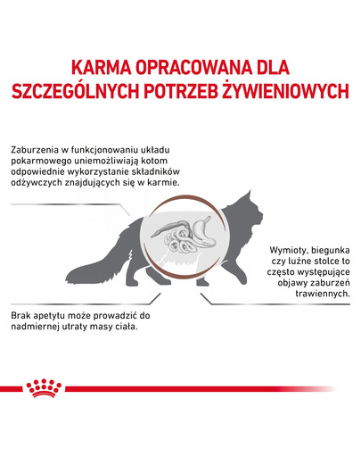 ROYAL CANIN Cat gastro intestinal 2 kg sucha karma dla kotów z zaburzeniami żołądkowo-jelitowymi