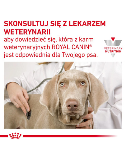 ROYAL CANIN Veterinary Gastrointestinal Low Fat Small Dog 8 kg niskotłuszczowa karma dla ras małych z hiperlipidemią