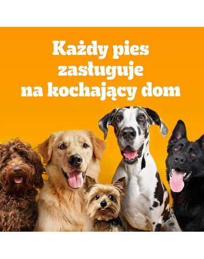 PEDIGREE Adult 7 kg z wołowiną i warzywami dla psów dużych i średnich ras