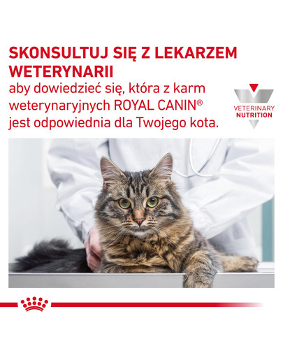 ROYAL CANIN Gastrointestinal Fibre Response 12x85 g karma w sosie dla kotów cierpiących na zakłaczenia i zaparcia